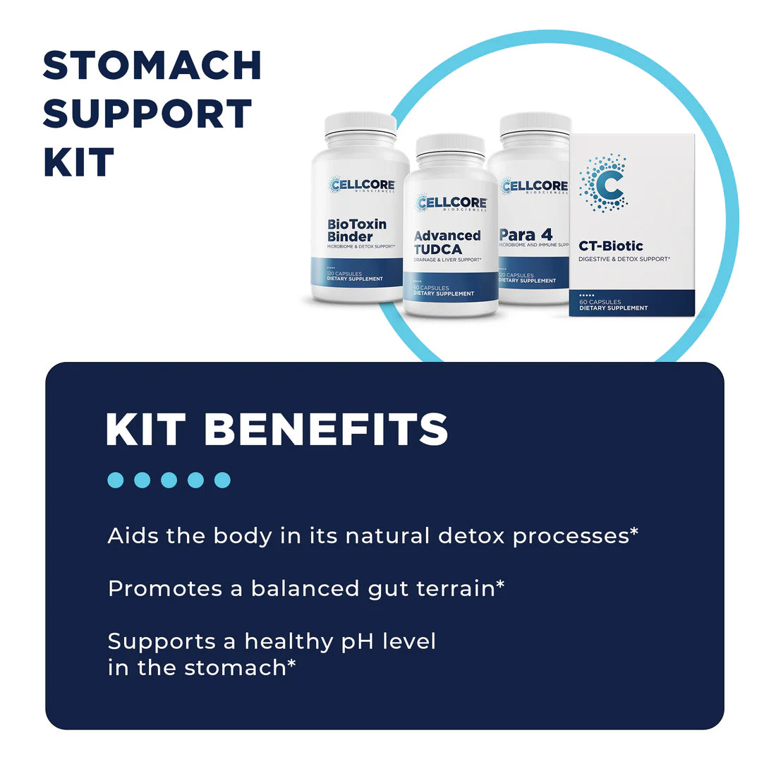 Stomach Support Protocol (Digestive & Stomach Support)